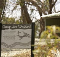 Kindra Forest - Accommodation Main Beach