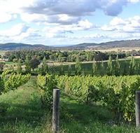 Sassy Wines - Accommodation Main Beach