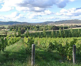 Sassy Wines - Accommodation Main Beach 0
