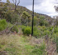 Lynchs loop trail - Accommodation Main Beach