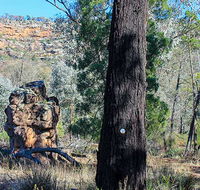 Eualdrie walking track - Accommodation Main Beach