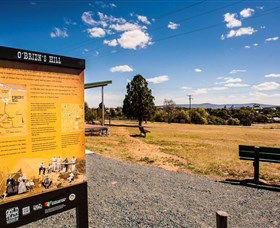 O'Brien's Hill - Accommodation Main Beach 0