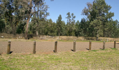 Terry Hie Hie Picnic Area - Accommodation Main Beach 2