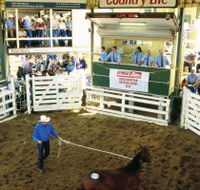 Gracemere Exhibition Complex - Accommodation Main Beach