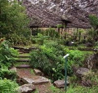 Burrendong Botanic Garden and Arboretum - Accommodation Main Beach