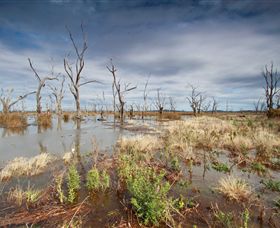 Winton Wetlands Reserve - Accommodation Main Beach 4