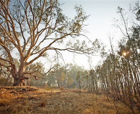 Winton Wetlands Reserve - Accommodation Main Beach 2