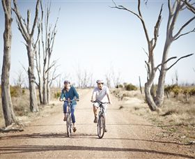 Winton Wetlands Reserve - Accommodation Main Beach 6
