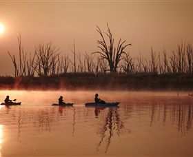 Winton Wetlands Reserve - Accommodation Main Beach 7