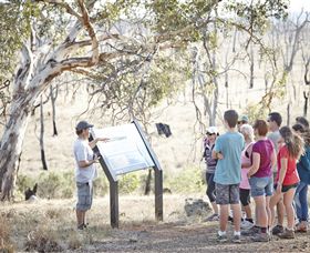 Winton Wetlands Reserve - Accommodation Main Beach 5