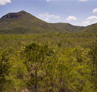 Kutini-Payamu Iron Range National Park CYPAL - Accommodation Main Beach