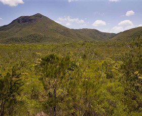 Kutini-Payamu (Iron Range) National Park (CYPAL) - Accommodation Main Beach 0