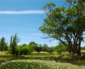 Burrumbuttock ACT Accommodation Main Beach
