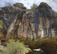 Borenore Karst Conservation Reserve - Accommodation Main Beach