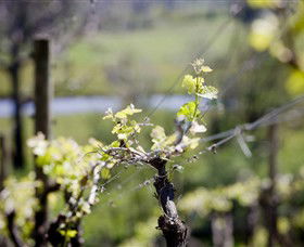 Lethbridge Wines - Accommodation Main Beach 0