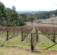 Habitat Vineyard - Accommodation Main Beach
