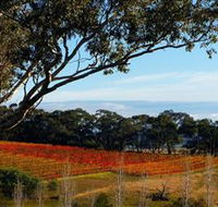 Bloodwood Estate - Accommodation Main Beach