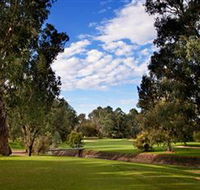 Commercial Golf Course - Accommodation Main Beach