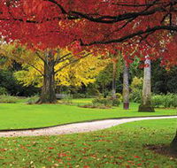 Albury Botanic Gardens - Accommodation Main Beach