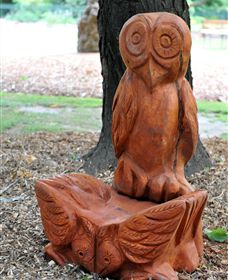 Albury Botanic Gardens - Accommodation Main Beach 7