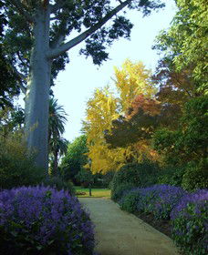 Albury Botanic Gardens - Accommodation Main Beach 4
