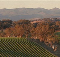 Angullong Wines - Accommodation Main Beach