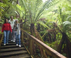Otway Fly Treetop Adventures - Accommodation Main Beach 0