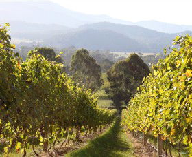 Pizzini Wines King Valley - Accommodation Main Beach 3