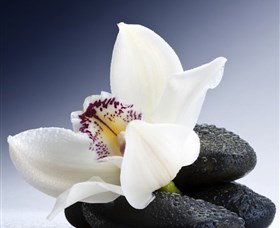 H2O Spa - Accommodation Main Beach 1
