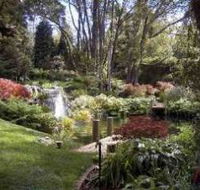 Windyridge Garden Mount Wilson - Accommodation Main Beach