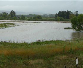 Jerrabomberra Wetlands - Accommodation Main Beach 1