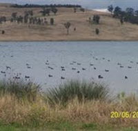 Lake Liddell Recreation Area - Accommodation Main Beach