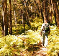 Federal Pass - Accommodation Main Beach