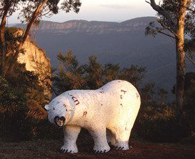 Lost Bear Gallery - Accommodation Main Beach 0