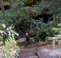 Leura Cascades Fern Bower - Accommodation Main Beach