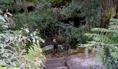 Leura Cascades Fern Bower - Accommodation Main Beach 0