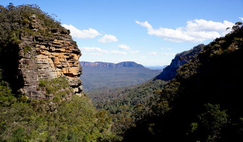 Leura Cascades Fern Bower - Accommodation Main Beach 1
