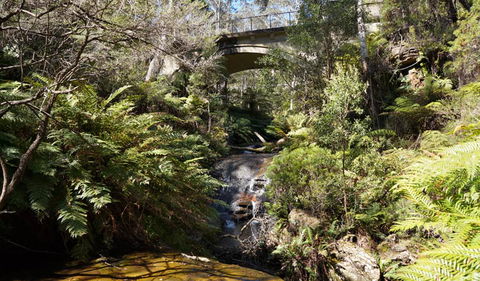 Leura Cascades Fern Bower - Accommodation Main Beach 3
