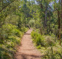 Mares Forest Creek walking track - Accommodation Main Beach