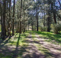 Wombeyan Waterfall walking track - Accommodation Main Beach