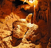 Fig Tree Cave - Accommodation Main Beach