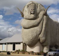 Big Merino - Accommodation Main Beach