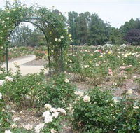 Victoria Park Rose Garden - Accommodation Main Beach