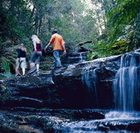South Lawson Waterfall Circuit - Accommodation Main Beach