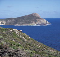 Bald Head Walking Track - Accommodation Main Beach