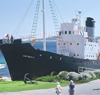 Discovery Bay Tourism Experience - Accommodation Main Beach