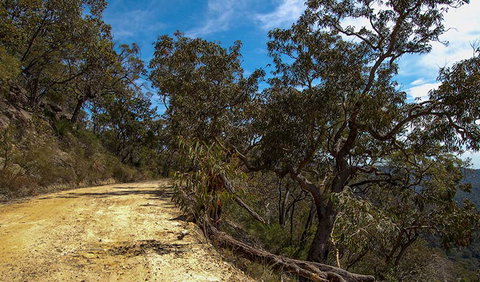 Parr State Conservation Area - Accommodation Main Beach 0