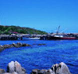 King Island Dairies - Accommodation Main Beach