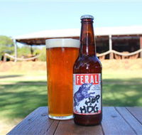 Feral Brewing Company - Accommodation Main Beach
