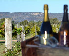 Ugly Duckling Wines - Accommodation Main Beach 1